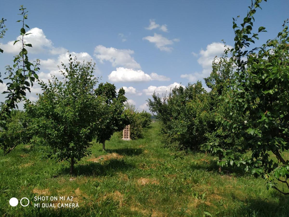 Noclegi Malgorzatka Solec-Zdrój Exterior foto